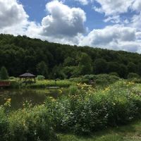 The Natural Gardens ico