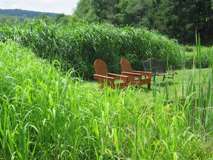 The Natural Gardens 4