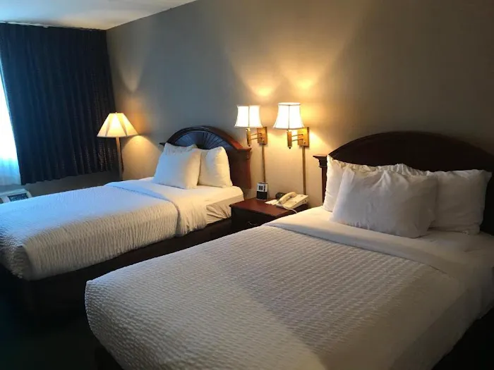 The Marx Hotel 4