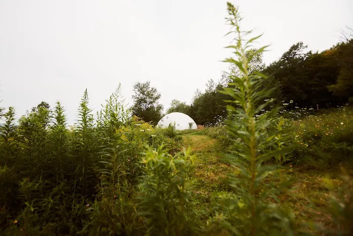 Catskill Mountain Domes 4