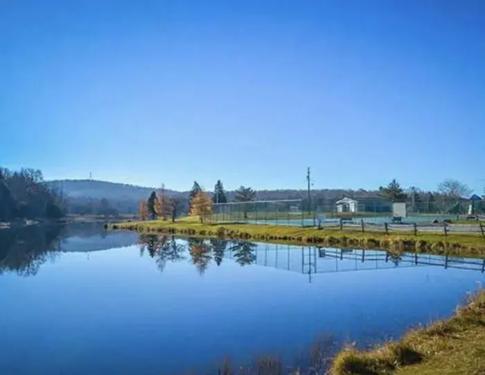 WasabisNest Lakehouse 4
