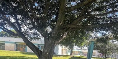 Random Other Place