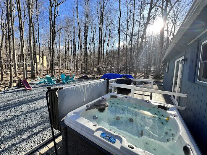 White Pine Oasis 4