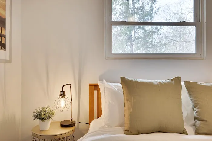 White Pine Oasis 4