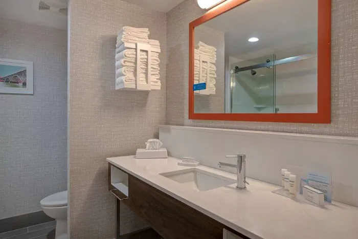 Hampton Inn and Suites Deptford 4
