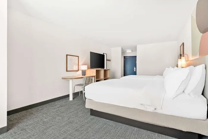 Spark by Hilton Exton 4