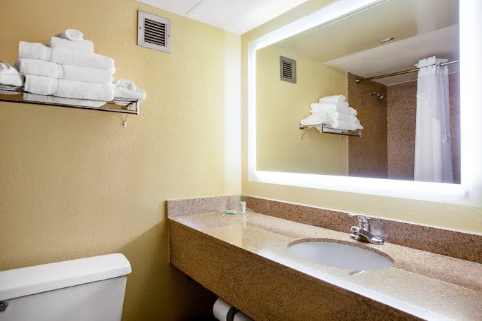 Holiday Inn Morgantown - Reading Area by IHG 4