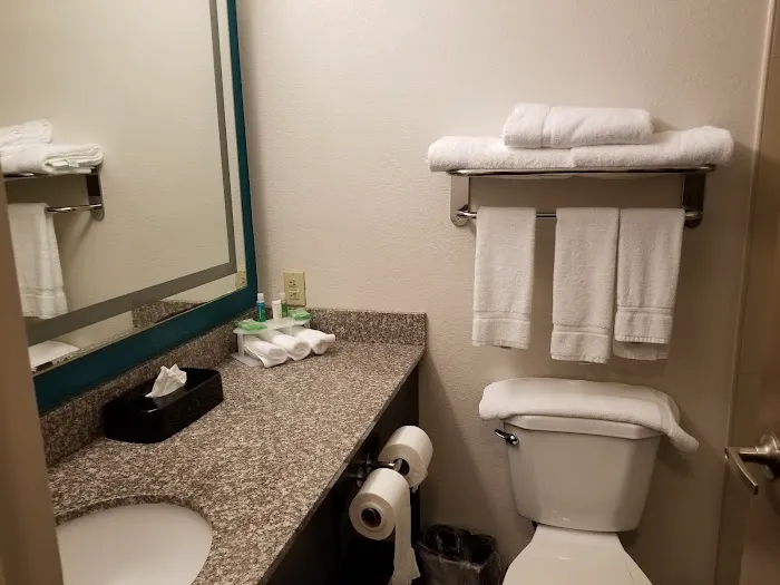 Holiday Inn Express & Suites Wyomissing by IHG 4