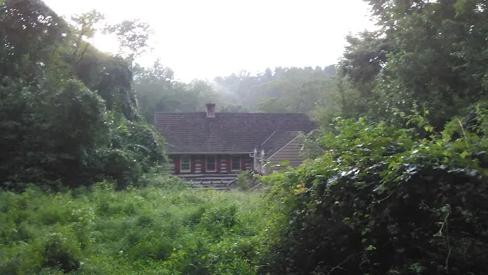 The Rosetree Preservation 4