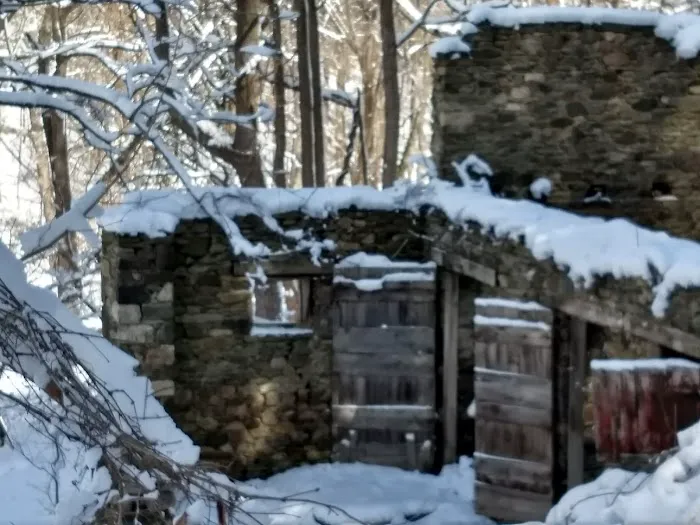 The Rosetree Preservation 4