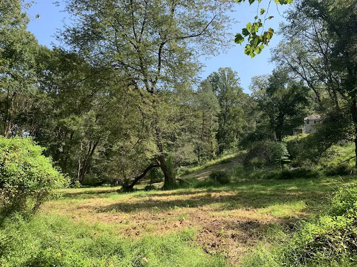 The Rosetree Preservation 4