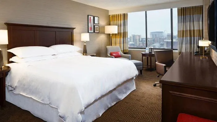 Sheraton Philadelphia University City Hotel 5