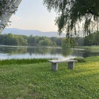 Glen Brook Farm Inc ico