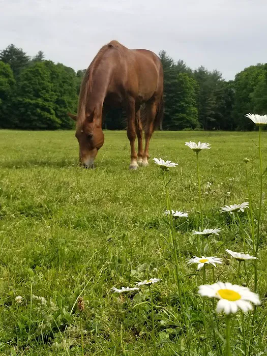 Glen Brook Farm Inc 4