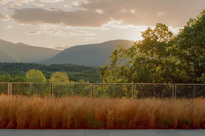 Piaule Catskill 4
