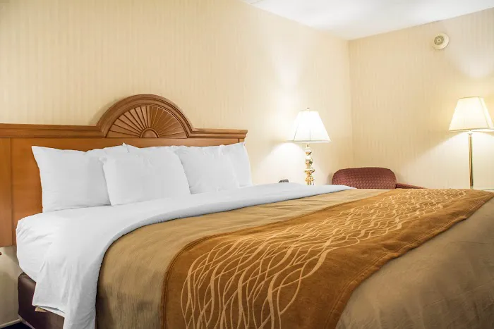 Comfort Inn Binghamton I-81 4