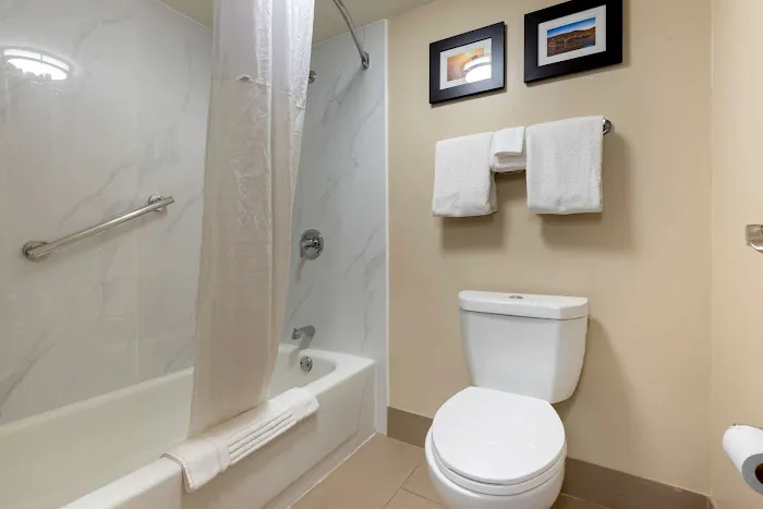 Comfort Inn Binghamton I-81 4