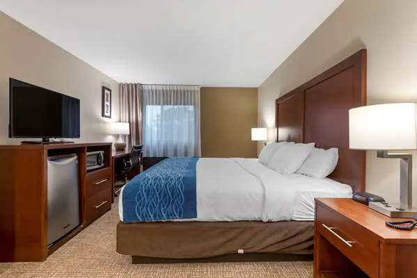 Comfort Inn Binghamton I-81 4