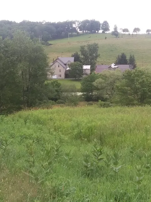 Wiffy Bog Farm Bed and Breakfast 3