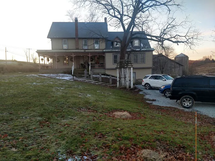 Wiffy Bog Farm Bed and Breakfast 3