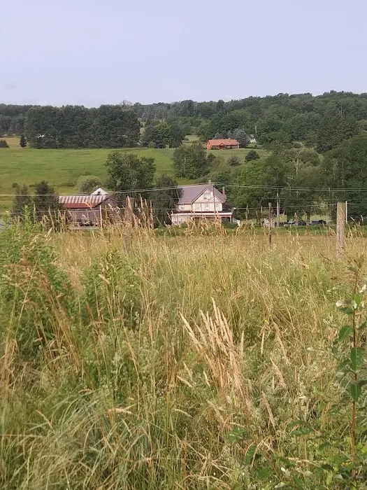 Wiffy Bog Farm Bed and Breakfast 3