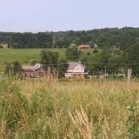 Wiffy Bog Farm Bed and Breakfast ico