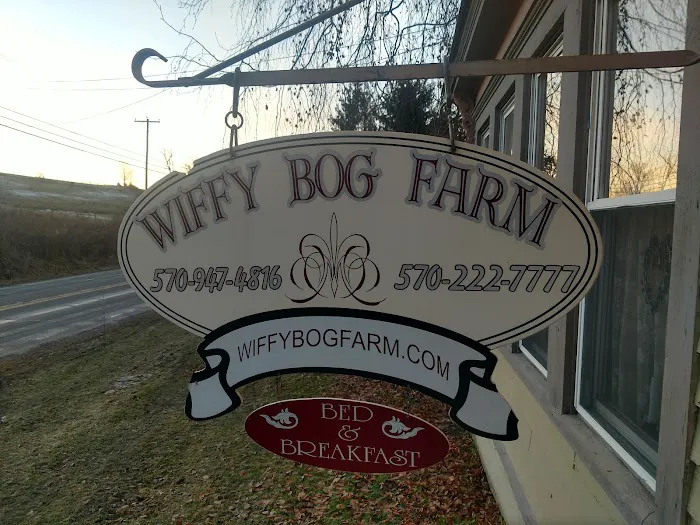 Wiffy Bog Farm Bed and Breakfast 3
