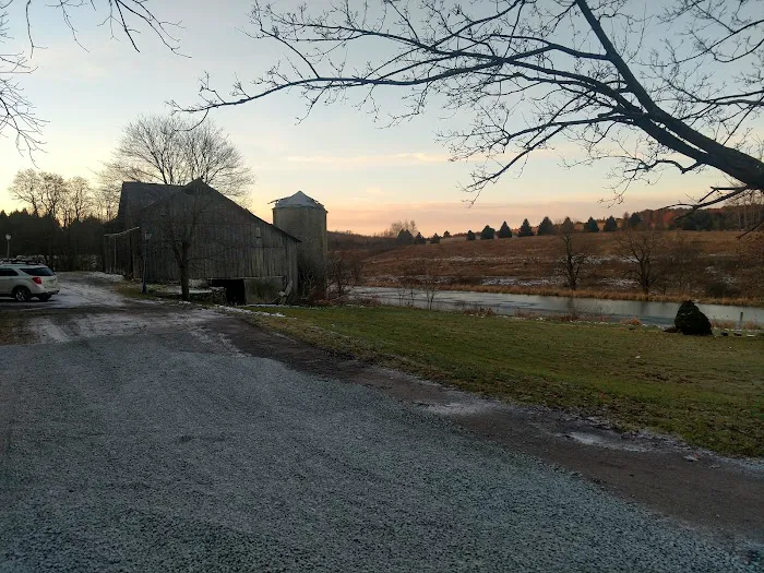 Wiffy Bog Farm Bed and Breakfast 3