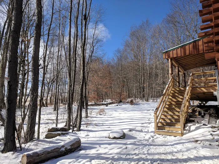 The Cabin 4