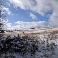 The Cabin