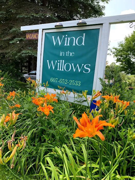 Wind in the Willows 4