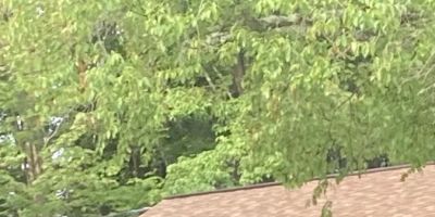 Westwood Villas