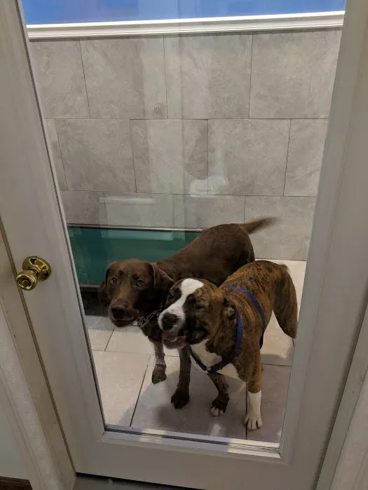 Puppy Paradise 4