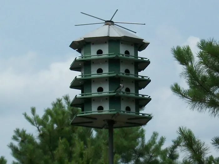 Belhaven Lake RV Resort 4