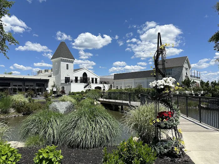 Renault Winery 4