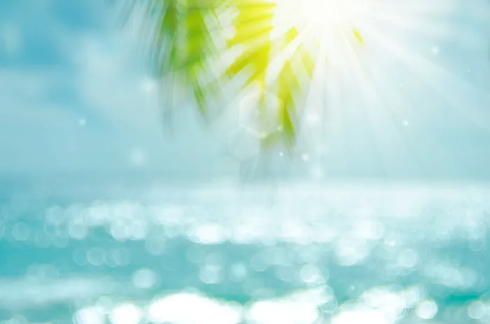 Ocean Surf Resort 4