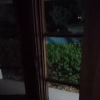 Black Forest Inn of Adamstown ico
