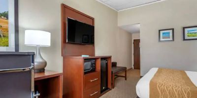 Comfort Inn Lancaster County North