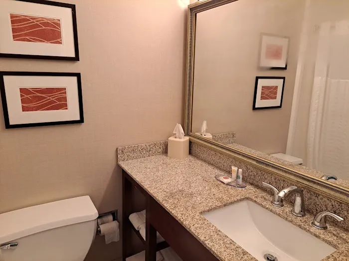 Comfort Inn Lancaster County North 4