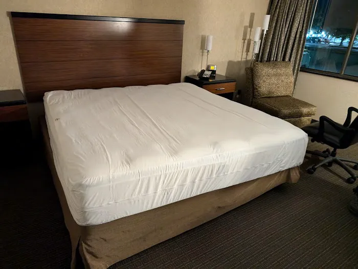 Quality Hotel Philadelphia International Airport 4