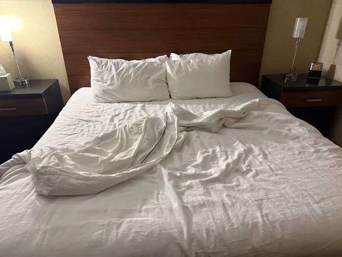 Quality Hotel Philadelphia International Airport 4
