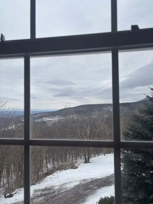 The Perch Hotel 4