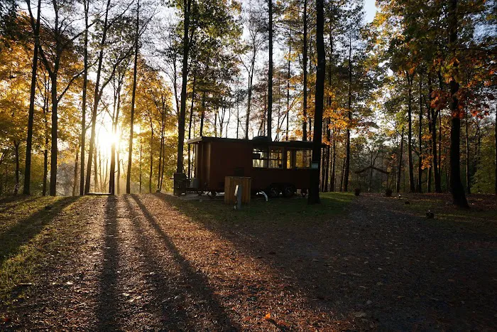 A Tiny House Resort 4