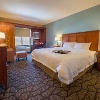 Hampton Inn & Suites Binghamton/Vestal ico