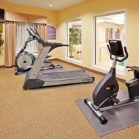 Holiday Inn Express & Suites Binghamton University-Vestal by IHG ico
