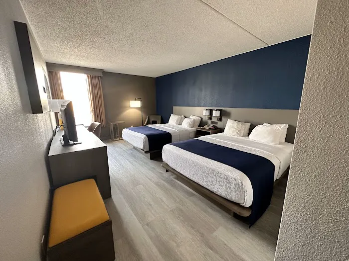 Comfort Inn & Suites 4