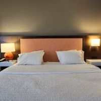 Hampton Inn Binghamton/Johnson City ico
