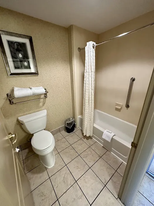 Homewood Suites by Hilton Binghamton/Vestal, NY 4