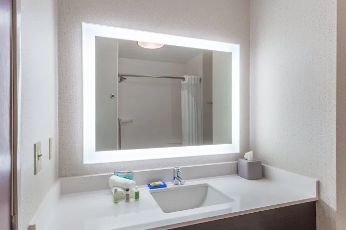Holiday Inn Express & Suites White Haven - Poconos by IHG 4