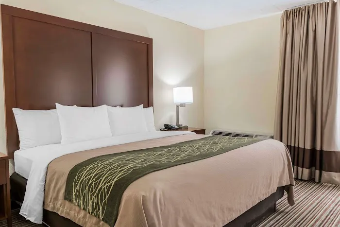 Comfort Inn - Pocono Mountains 4